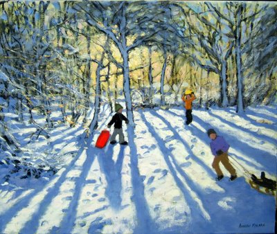 Woodland in winter, near Ashbourne, Derbyshire by Andrew Macara